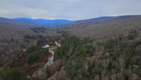 Video-De-Drones-Volando-Alto-Sobre-Un-Valle-Fluvial-Con-Un-Arroyo-Serpenteante,-árboles-Desnudos,-Pinos-Y-Montañas-Azules-En-La-Distancia