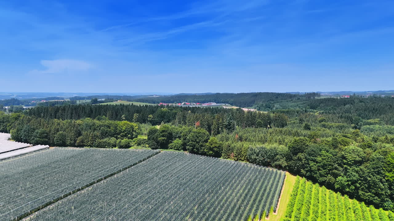 Fields with different agricultural plants growing in rows. Pine tree woods surround the farmlands. Aerial view