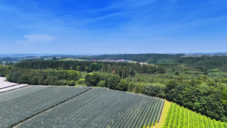 fields with different agricultural plants growing in rows. pine tree woods surround the farmlands. aerial view