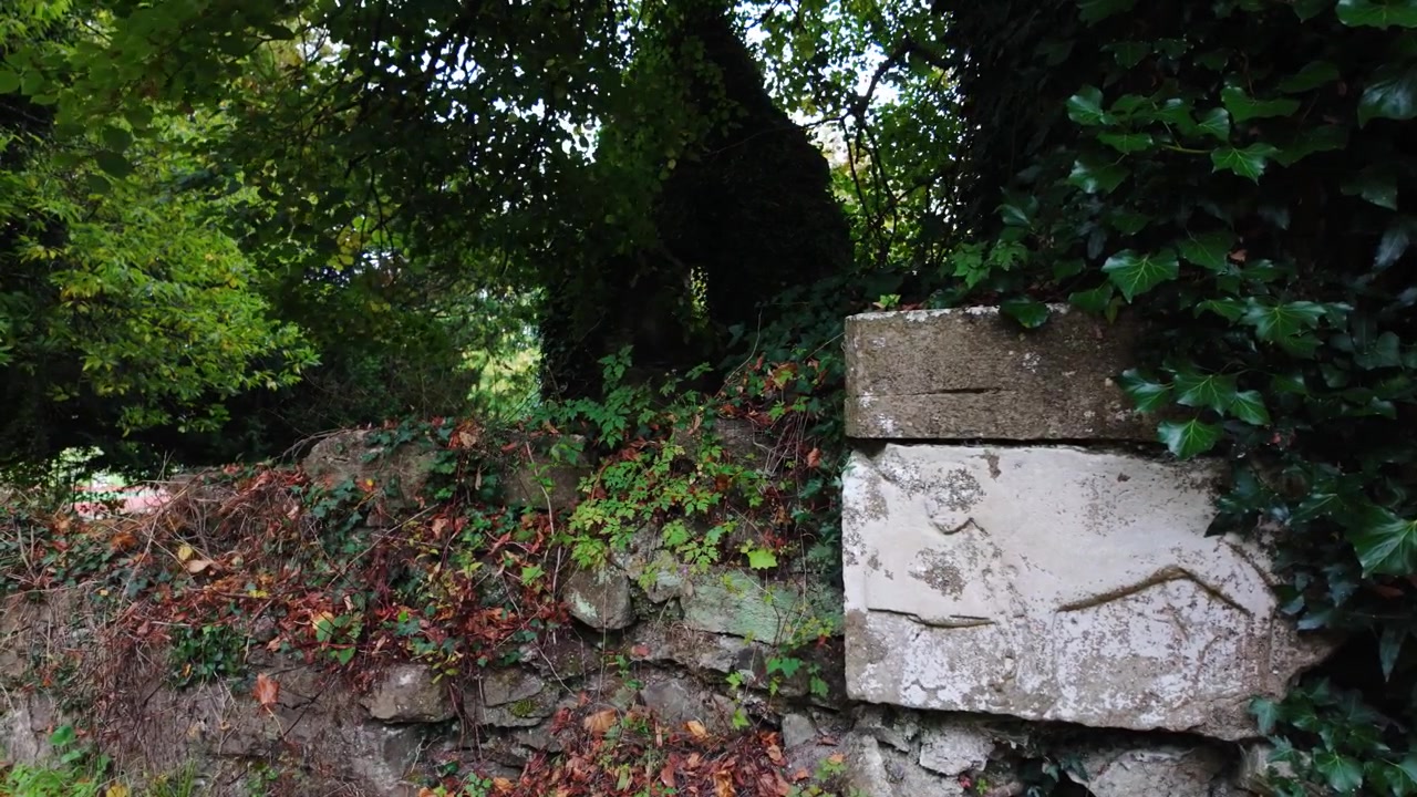 Luoghi epici dell'Irlanda: luoghi oscuri e dimenticati, rovine di castelli a Kildare, luoghi storici infestati.