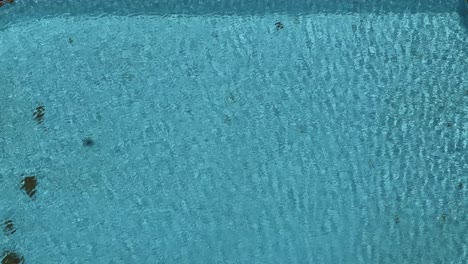 overhead perspective of a tranquil pool