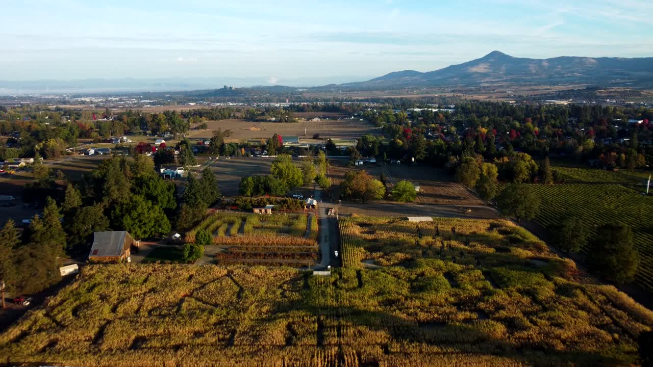 米国、オレゴン州、フェニックス - 秋の収穫祭のために設置されたキジ畑農場のトウモロコシ迷路のドローンショット