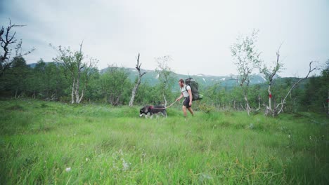 가죽 끈에 애완견과 함께 풀이 무성한 산에서 트레킹하는 배낭 여행자