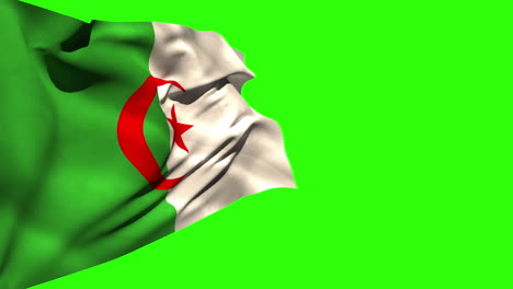 large algeria national flag blowing