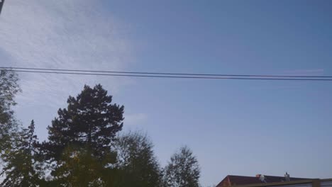 Passenger-view-out-of-train-looking-up-into-the-sky-while-passing-trees-during-fast-train-ride-through-eastern-Germany-in-autumn