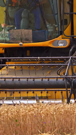 huge mowing machine cuts the ripe wheat spikelets. big yellow combine harvester approaching the camera. spinning mowing mechanism close up. vertical video