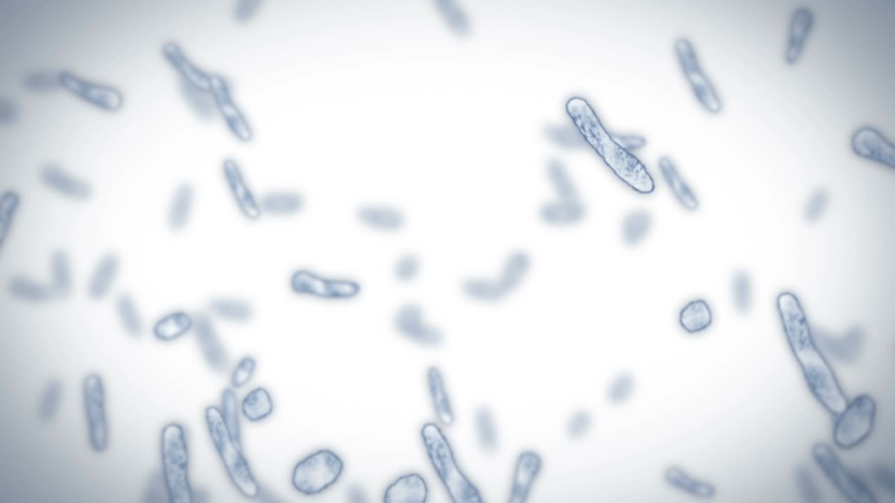 virus de célula en forma lineal. virus patógenos que causan infección. animación en bucle de virus humanos. microorganismo bacteriano. brote de enfermedad viral.