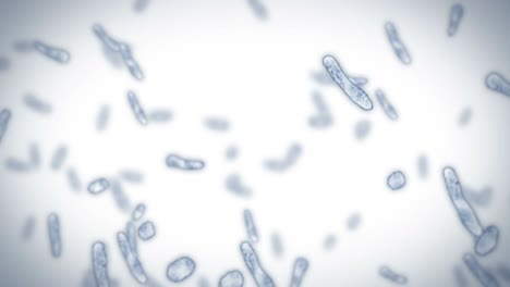 virus de célula en forma lineal. virus patógenos que causan infección. animación en bucle de virus humanos. microorganismo bacteriano. brote de enfermedad viral.