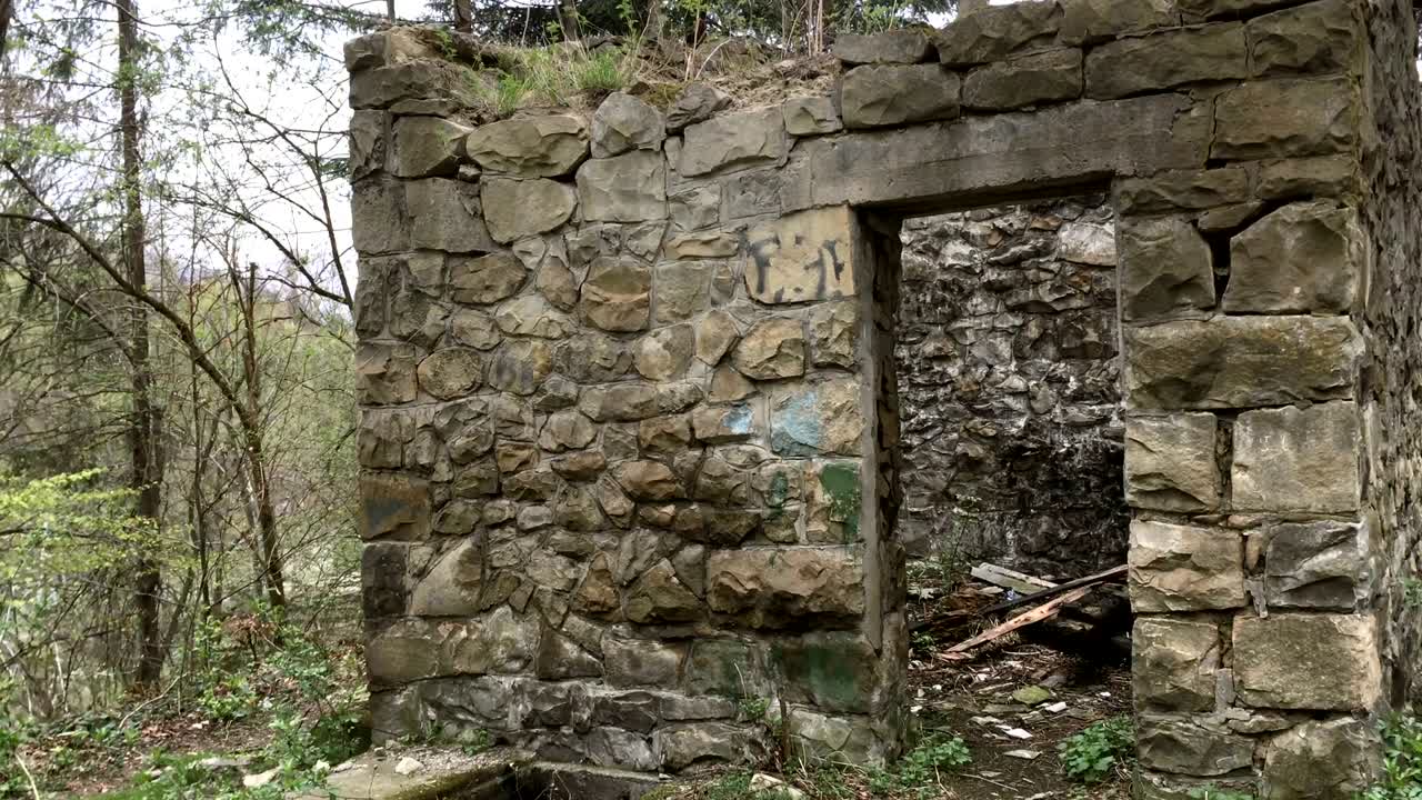 Old, mysterious ruined stone building in a green forest.