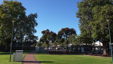 shot of a green park in griffith town centre, nsw australia