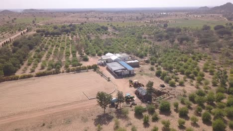 Tree-Plantation-On-The-Barren-Land-In-Rajasthan,-India-On-A-Hot-Weather---descending-drone-shot