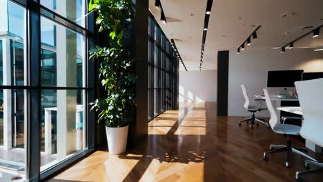 modern, bright office space with large windows
