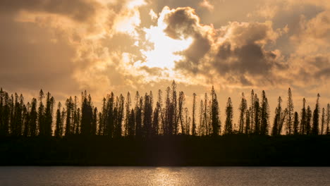 Puesta-De-Sol-Naranja-Vibrante-Siluetas-Pinos-Columnares-En-Isla-De-Pinos