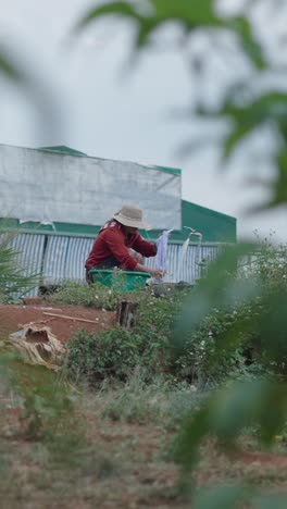 person doing laundry outdoors