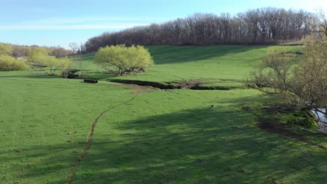 green field with animal tracks