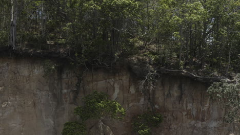 drone shot slowly reveal a big dry dense forest in byron bay, australia
