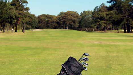 golf bag with golf club