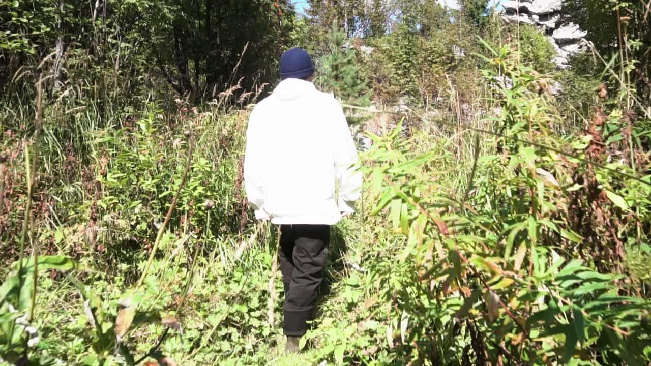 숲 을 가로질러 산책 하는 사람