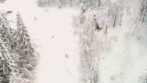 Verlassene-Skipiste,-Die-Aufgrund-Von-Covid-19-Mit-Weißem-Schnee-Bedeckt-Ist-Und-An-Der-Seite-Durch-Pinienbäume-Gekennzeichnet-Ist