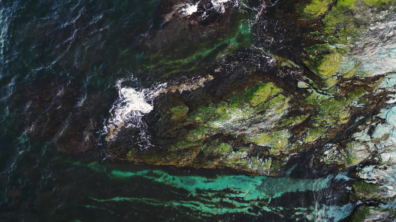Tendrils of algae in dark and light green grasp onto rocks on shoreline as waves crash, drone top down
