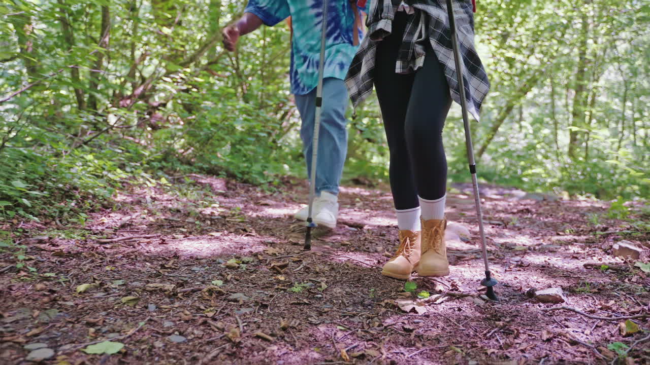 Caminantes en un sendero del bosque