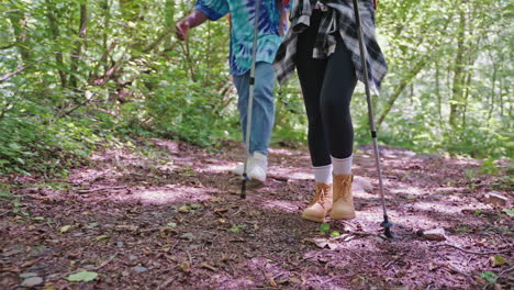 hikers in a forest path