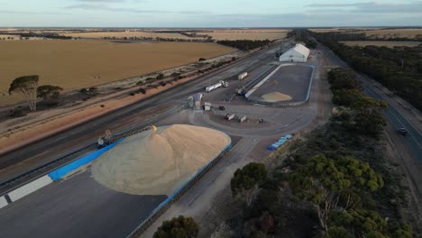 Camión-De-Carga-De-Cereales-Descargando-En-Rejilla-Y-Grano-Cayendo-Del-Apilador,-Australia-Occidental