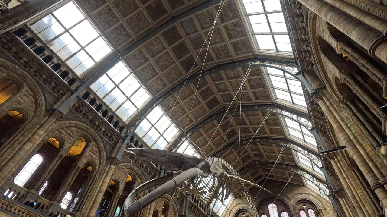 그랜드 박물관 홀 에 전시 된 웅장 한 골격