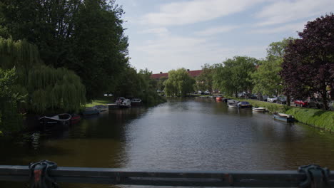 amsterdam canal with flowers seen from the bridge in netherlands. dolly shot