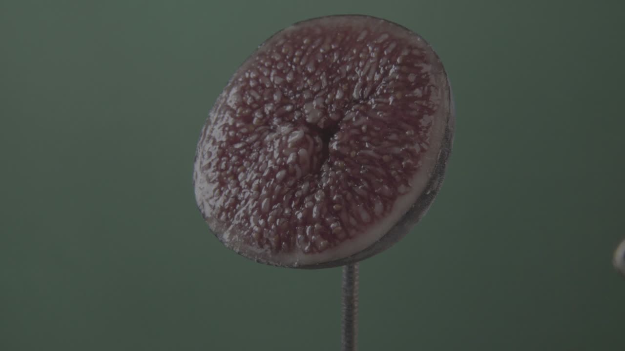 크로마 키를 위해 녹색 화면에 루프와 함께 회전하는 무화과