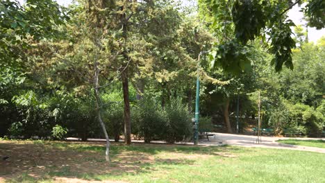 estatua en medio de los árboles en un jardín sereno