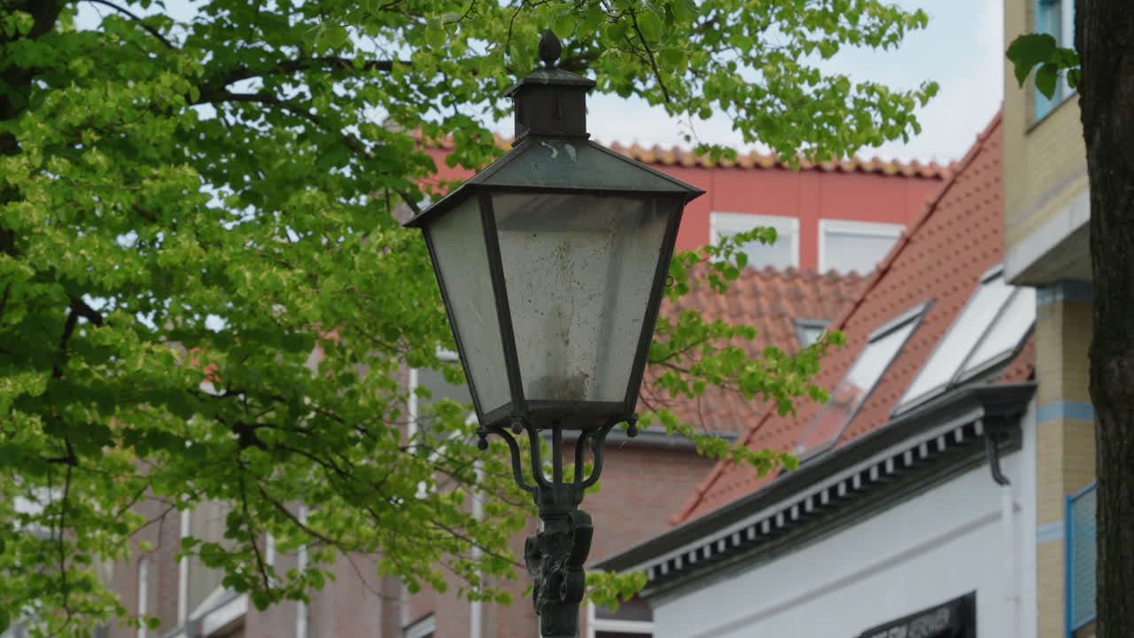 Vintage street lantern with iron details standing among leafy trees in a calm European town
