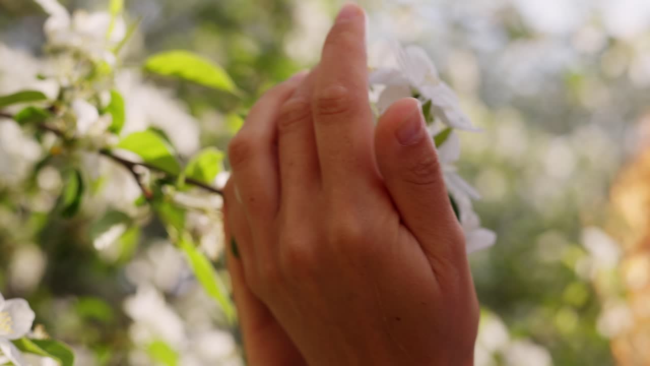 Woman admiring spring flowers