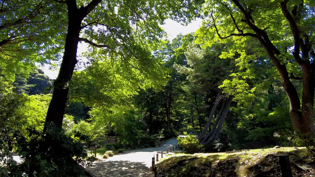 도쿄의 아름다운 공원