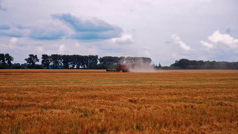 agricultural huge combine working in the field. harvesting golden wheat by modern machine.