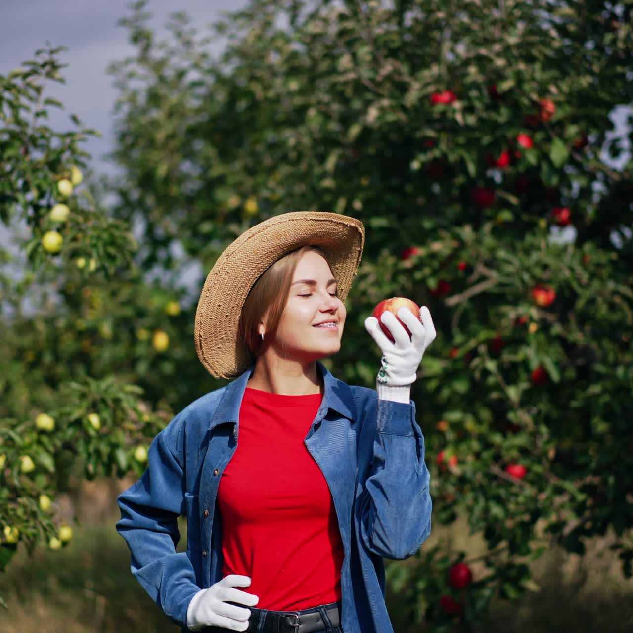 Sunny bright day on the harvest season in apple garden. Happy smiling lady farmer holding an apple, looking at it and smelling it