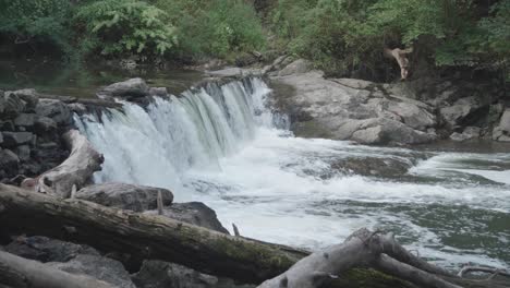 Wasserfall,-Wissahickon-Creek,-Philadelphia,-Pa