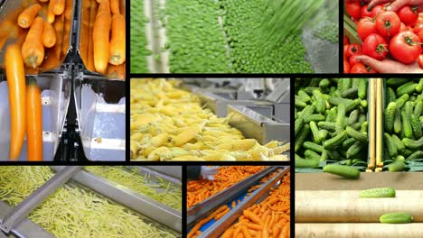 procesamiento de hortalizas en la industria alimentaria, pantalla múltiple
