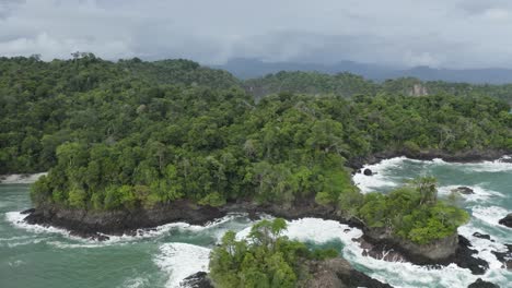 excelente toma aérea de una selva tropical costera en costa rica