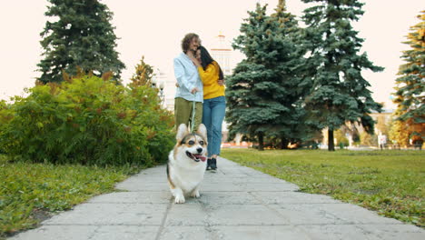 couple walking their dog in a park