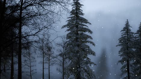 Misty-fog-in-pine-forest-on-mountain-slopes