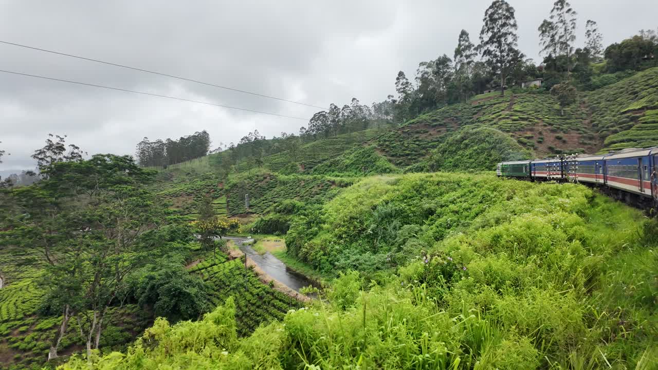 Train Journey Through Lush Green Tea Plantations in Sri Lanka