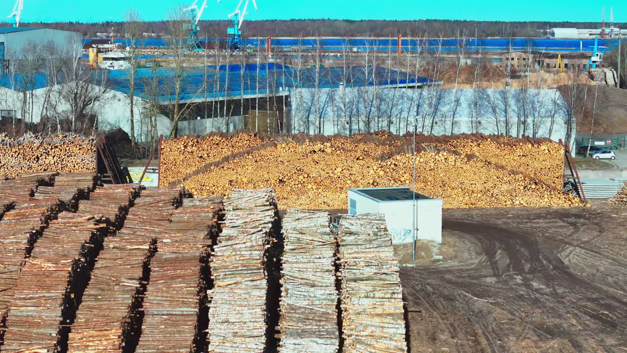 Rows of freshly cut timber logs sorted by size fill a large lumber yard bordered by industrial warehouses, cranes, and equipment under bright blue sky.