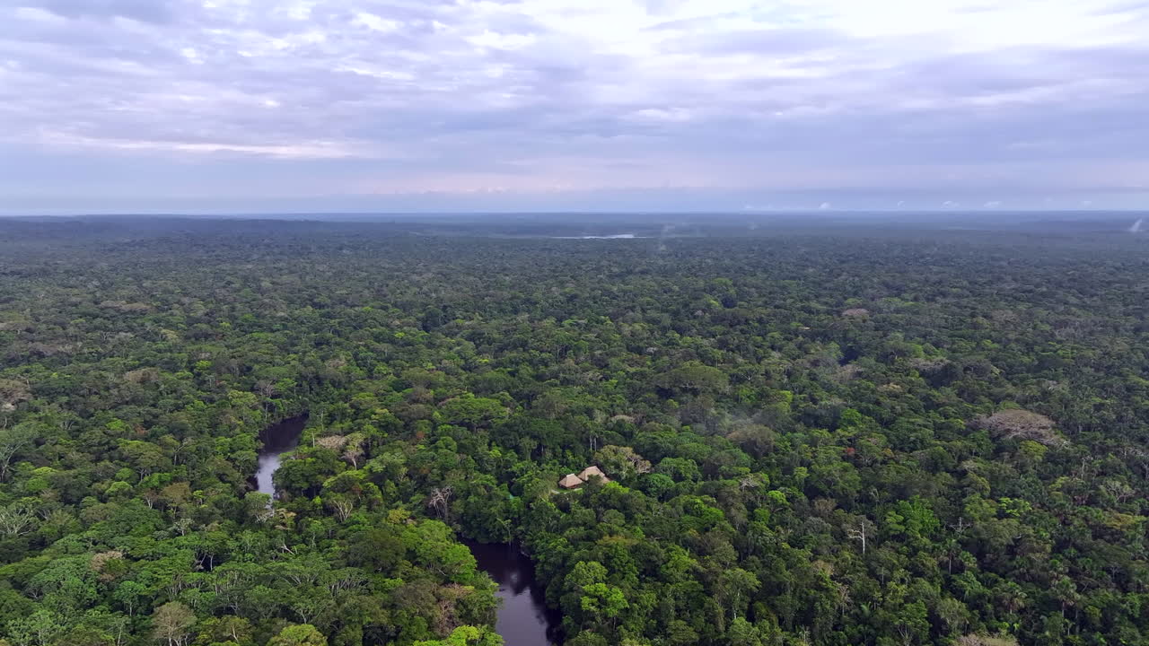 Aerial View of the Amazon Rainforest