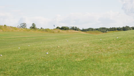 balls on the grass of the golf course.