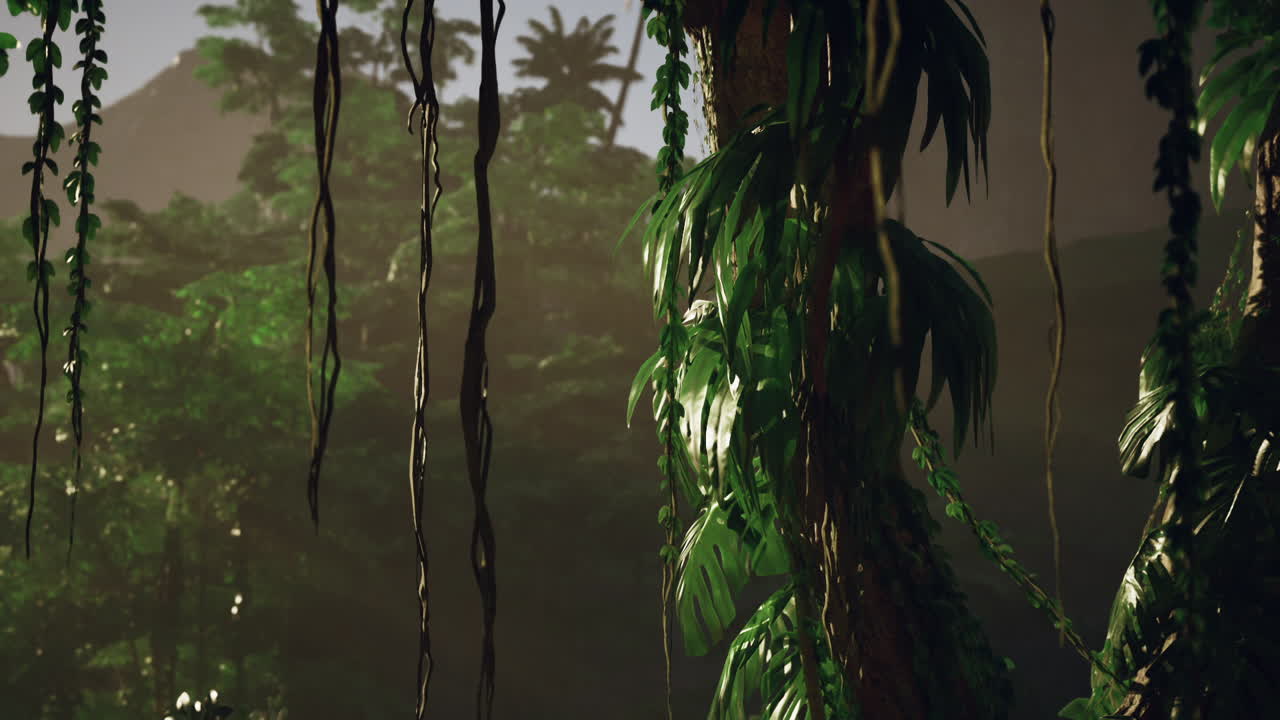 la luz del sol fluye a través de una densa selva tropical