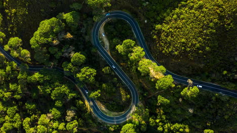 rushing through nature