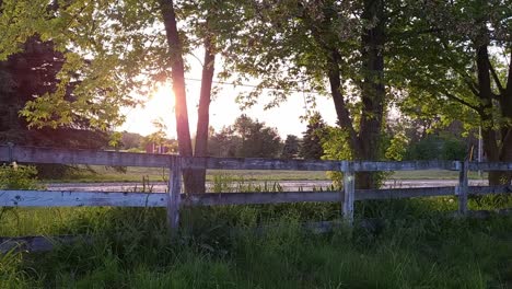 old wooden fence in countryside field with maple trees backlit with sunlight in southeast michigan, usa