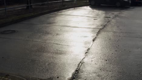 reflection of sun shining brightly on wet asphalt in berlin, germany