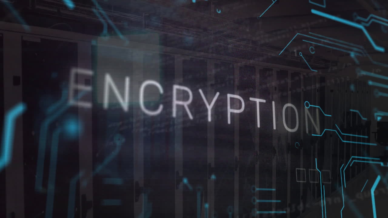 연결 네트워크의 애니메이션 및 서버 을 통해 암호화 텍스트